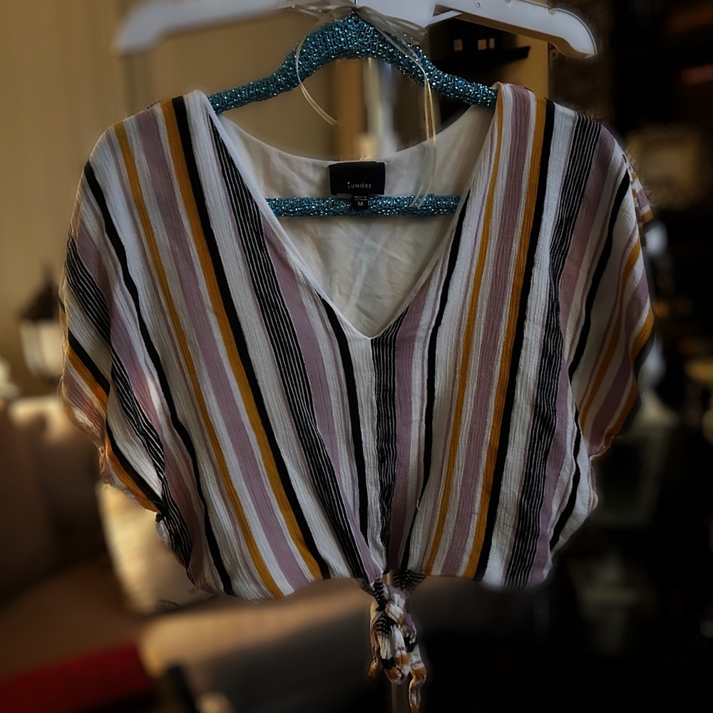 Gentle Used Pinstripe Crop Top